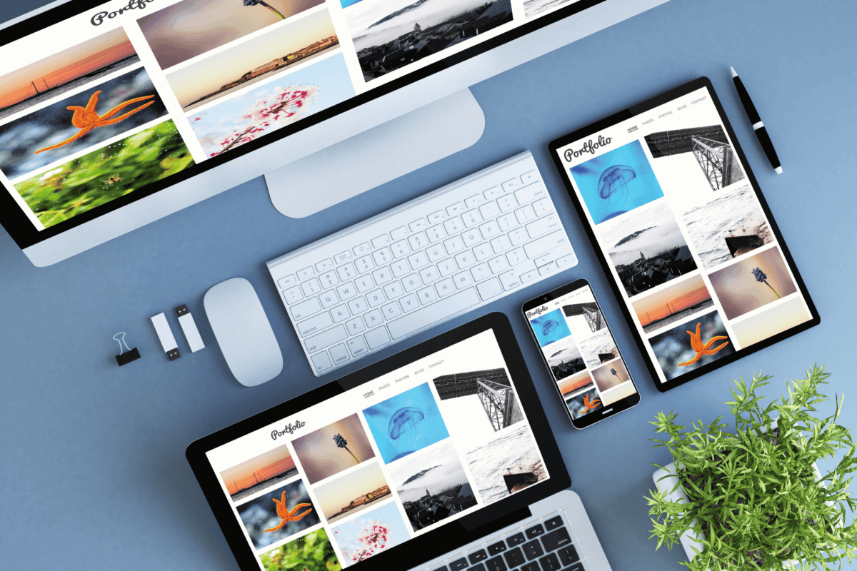 Choose WordPress theme
