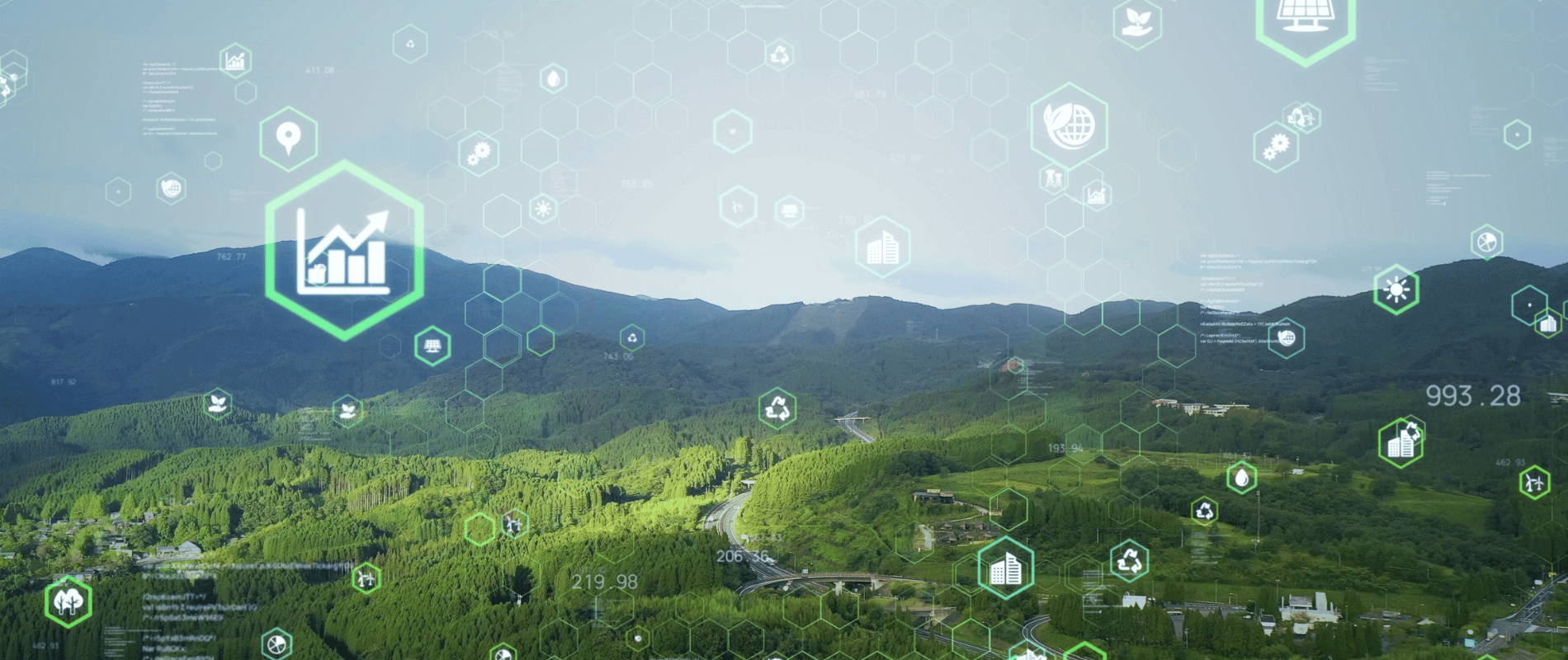environmentally sustainable website