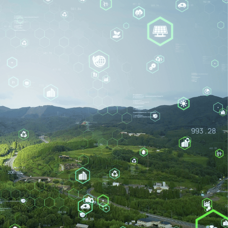 environmentally sustainable website